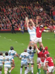 SX10827 Line out rugby Wales vs Argentina Millennium Stadium Cardiff.jpg